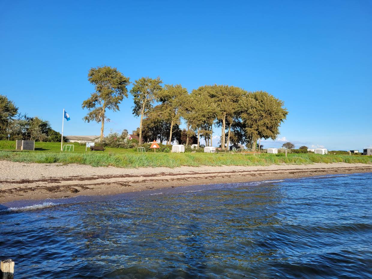 Blick durch die Bäume auf den Aabenraa Fjord im Herbst