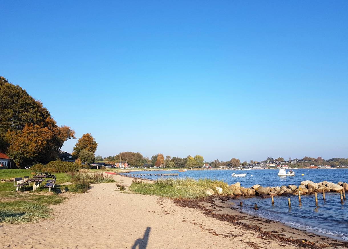 Grüne Bucht am Meer mit Picknickbänken und Häusern im Hintergrund