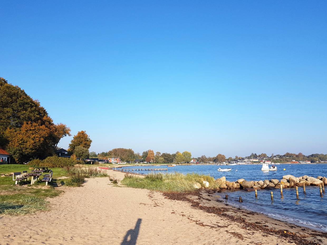 Grüne Bucht am Meer mit Picknickbänken und Häusern im Hintergrund