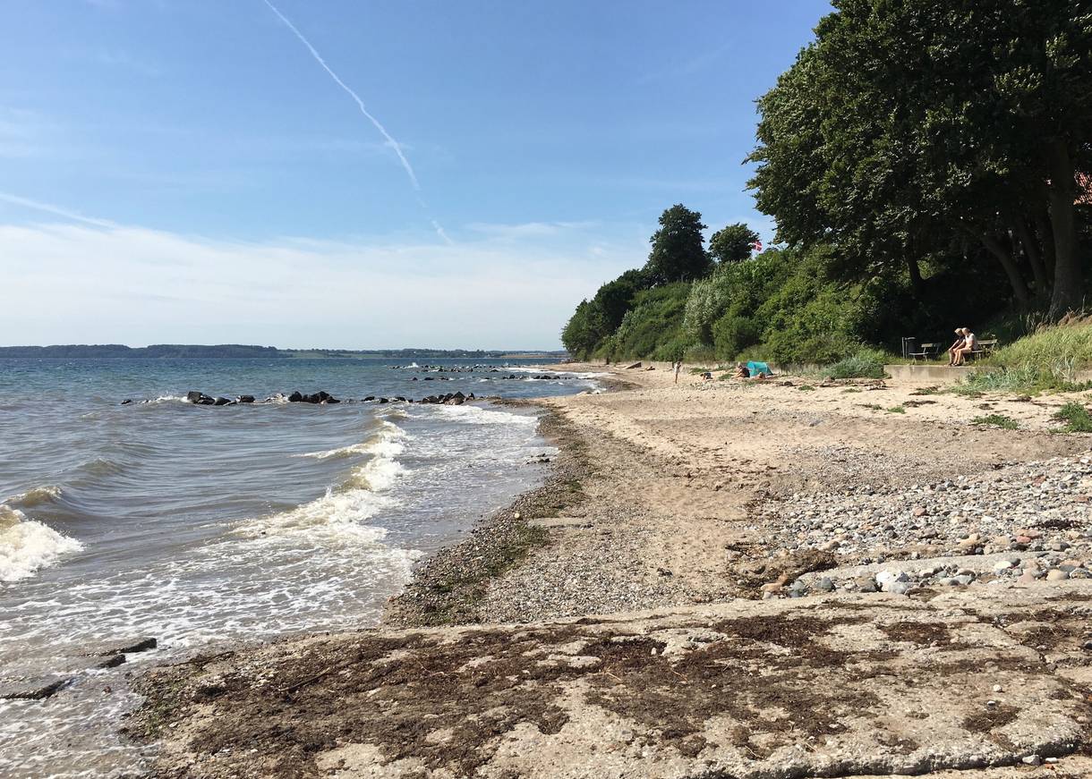 Steiniger Strandabschnitt vor einem Laubwald