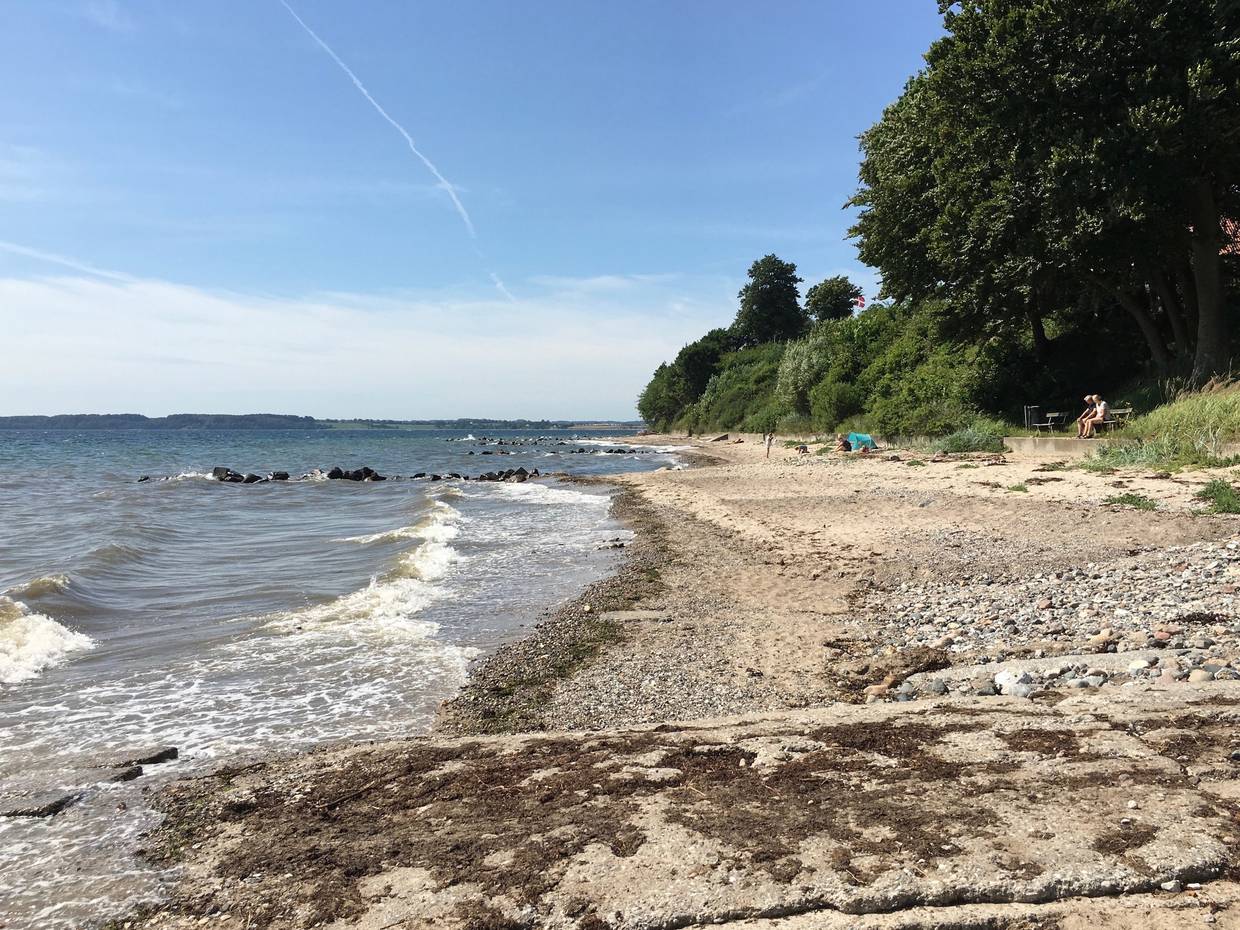 Steiniger Strandabschnitt vor einem Laubwald