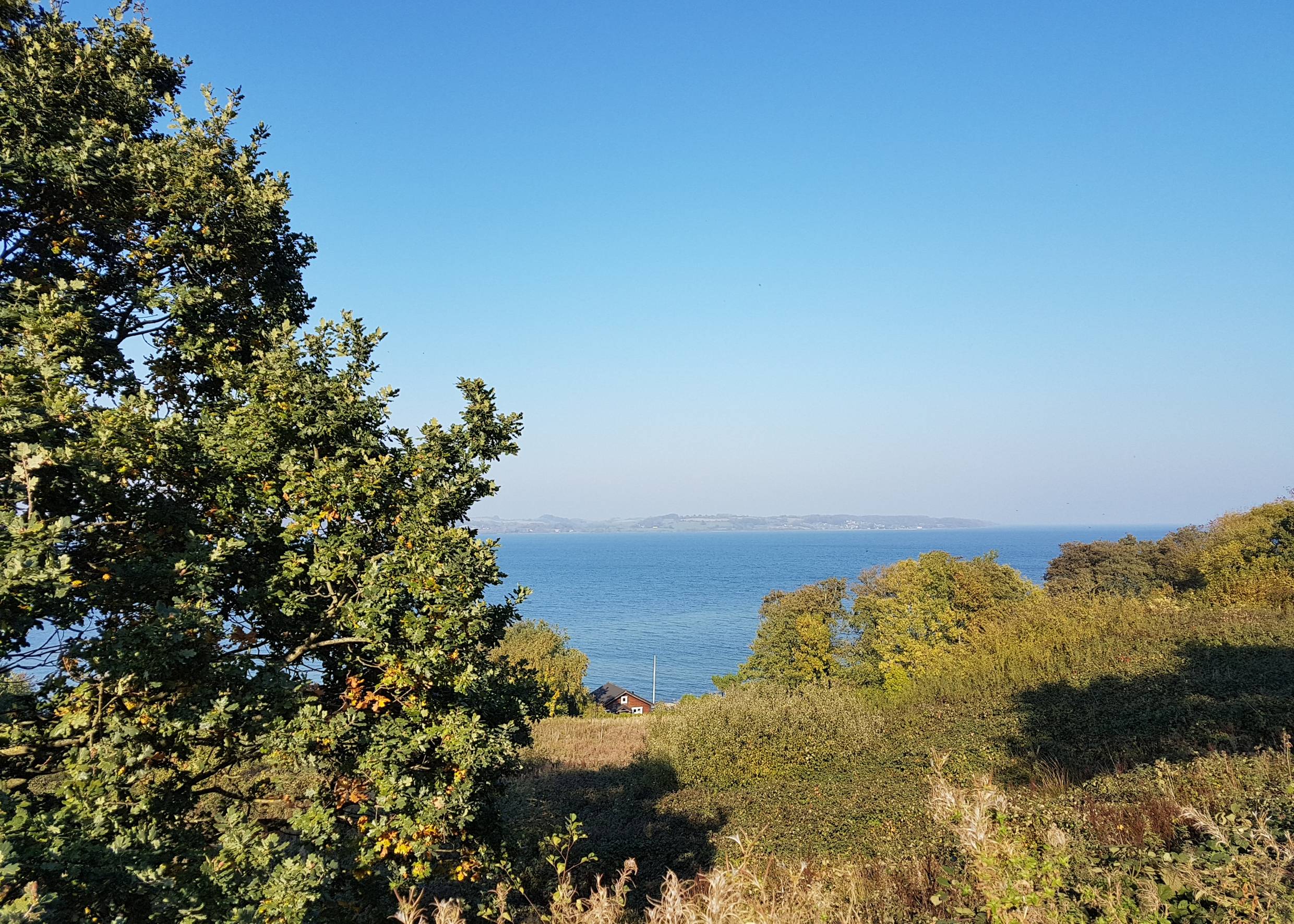 Blick vom Hang auf die Ostsee, ein Haus zwischen den Bäumen