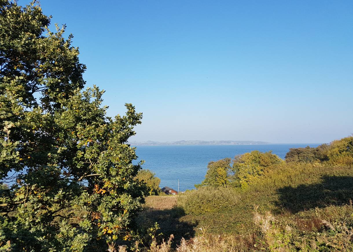Blick vom Hang auf die Ostsee, ein Haus zwischen den Bäumen