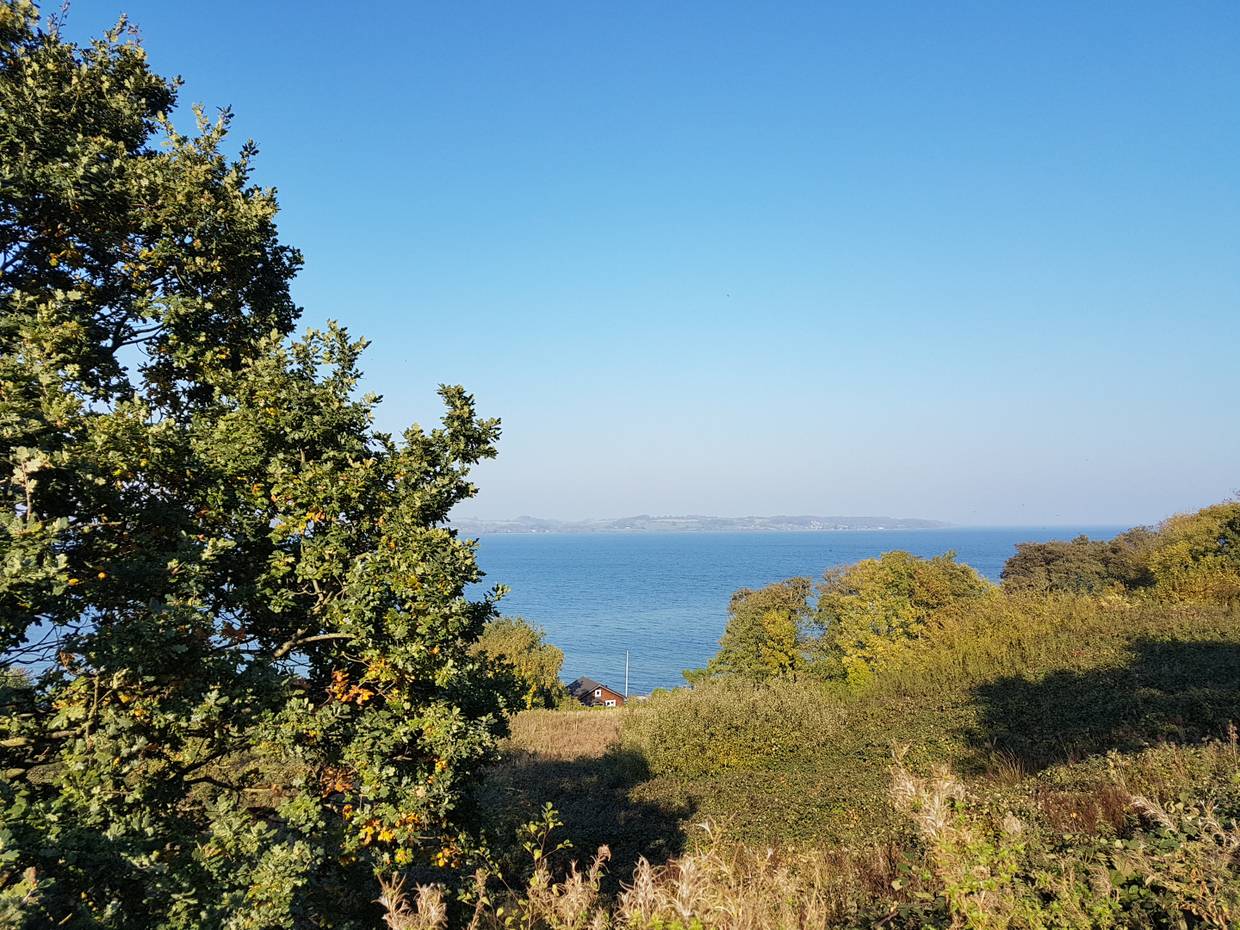 Blick vom Hang auf die Ostsee, ein Haus zwischen den Bäumen