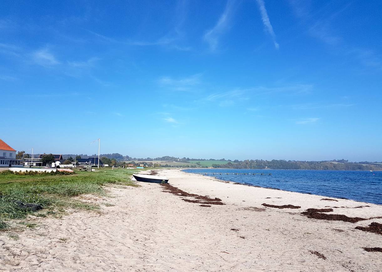 Sandstrand mit etwas Seegras in einer Bucht in Südjütland