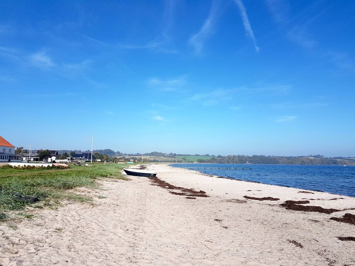 Sandstrand mit etwas Seegras in einer Bucht in Südjütland