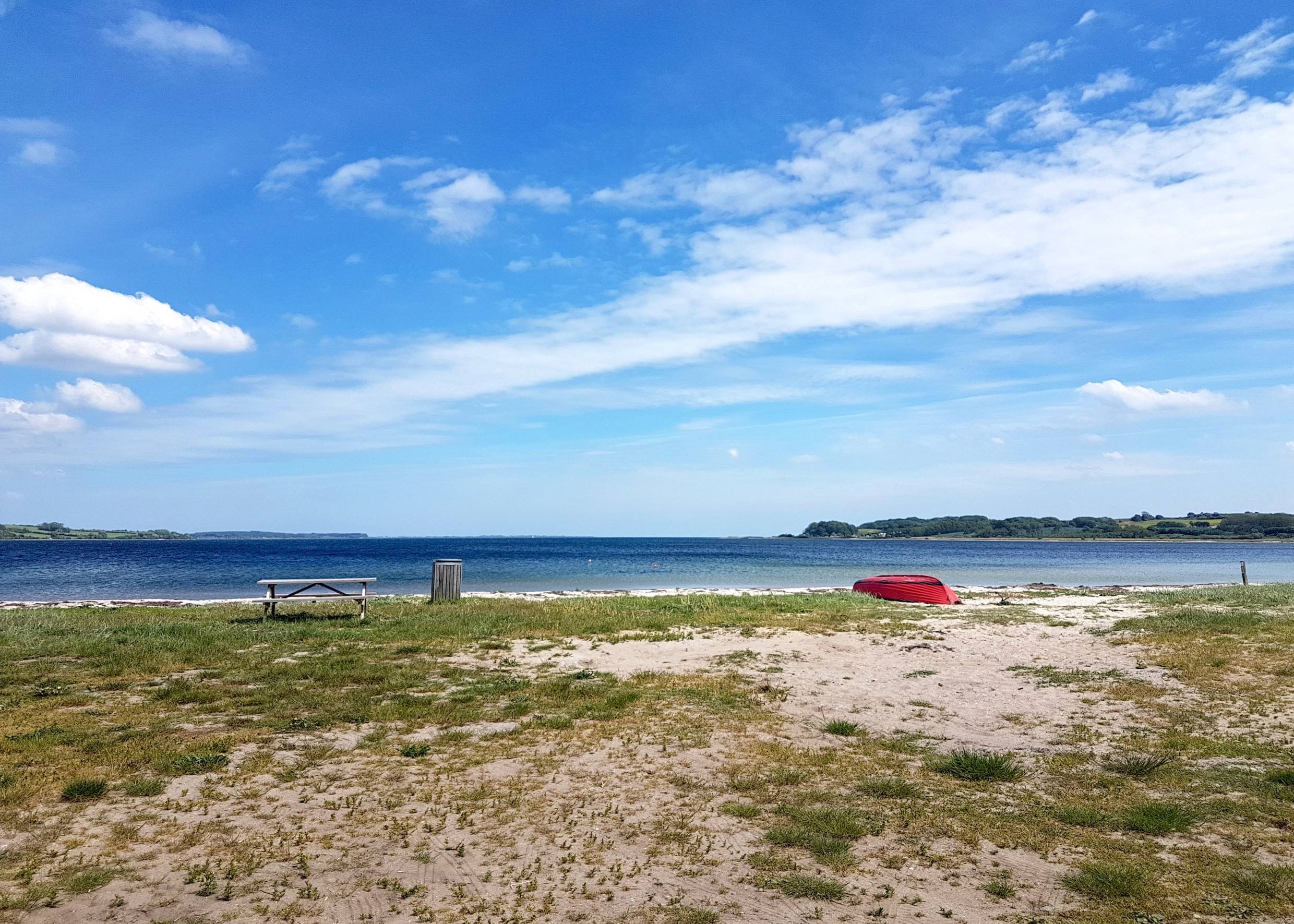 Sandstrand mit grünem Kraut an einer Bucht in der Ostsee