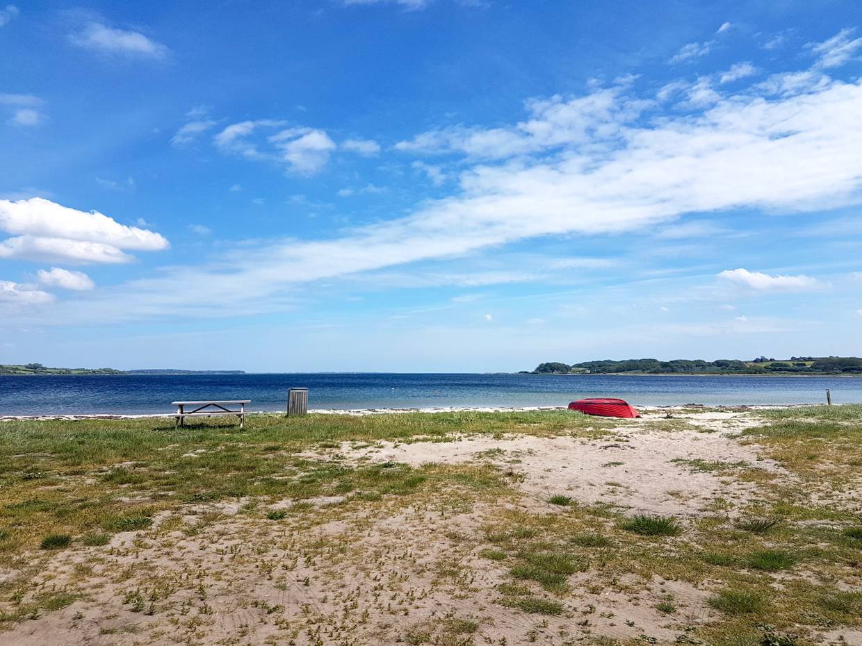 Sandstrand mit grünem Kraut an einer Bucht in der Ostsee