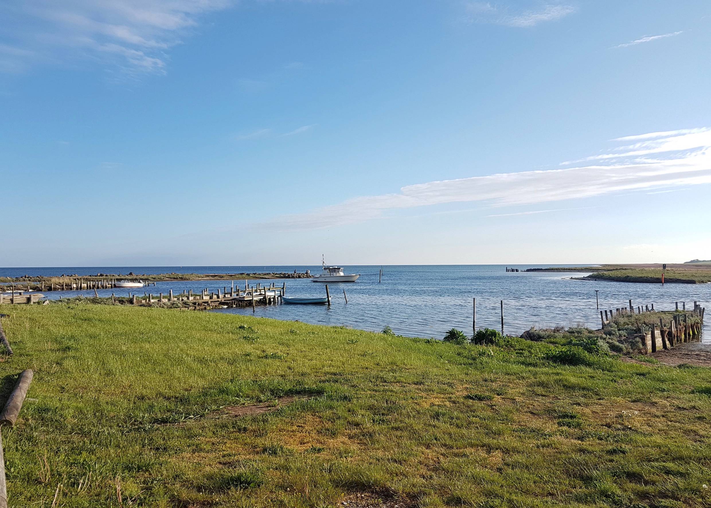 Eine Küste in Südseeland mit grünen Wiesen, einigen Holzstegen und einem Boot