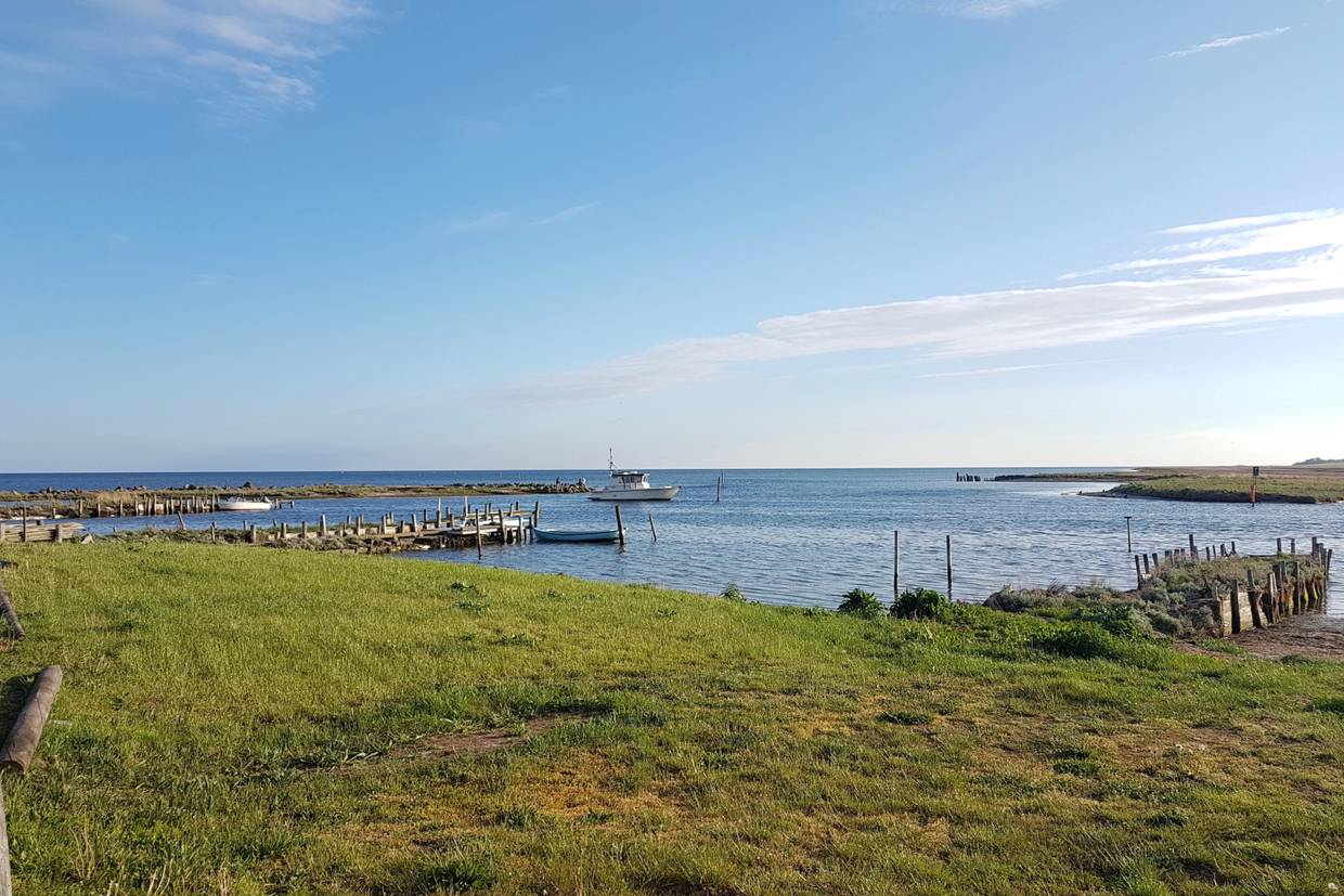 Foto von Bisserup Strand