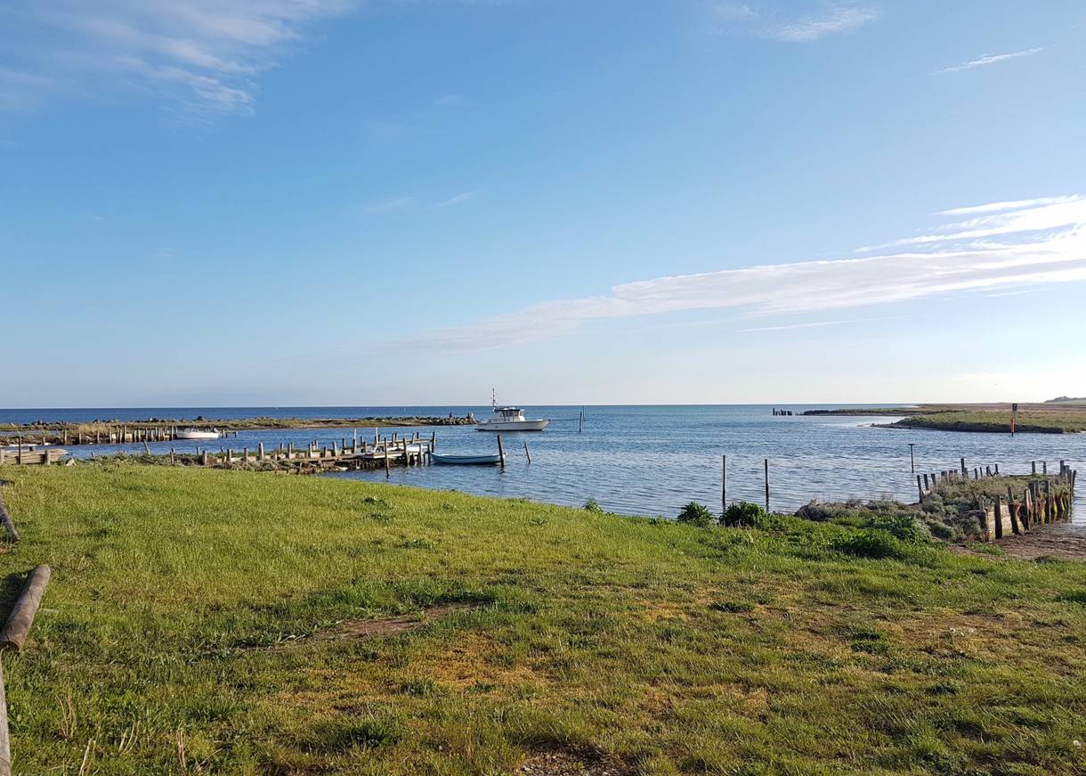 Eine Küste in Südseeland mit grünen Wiesen, einigen Holzstegen und einem Boot