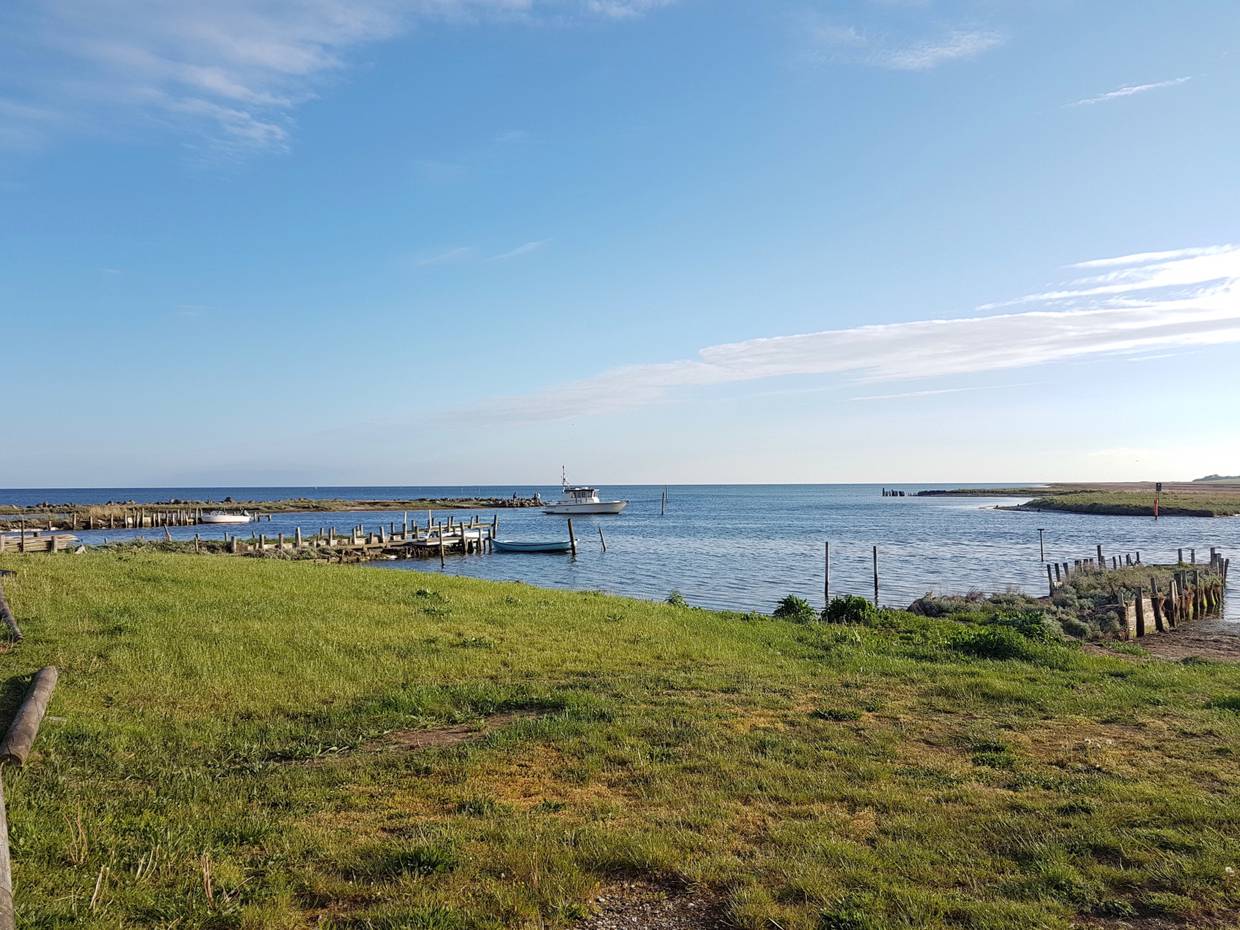 Eine Küste in Südseeland mit grünen Wiesen, einigen Holzstegen und einem Boot