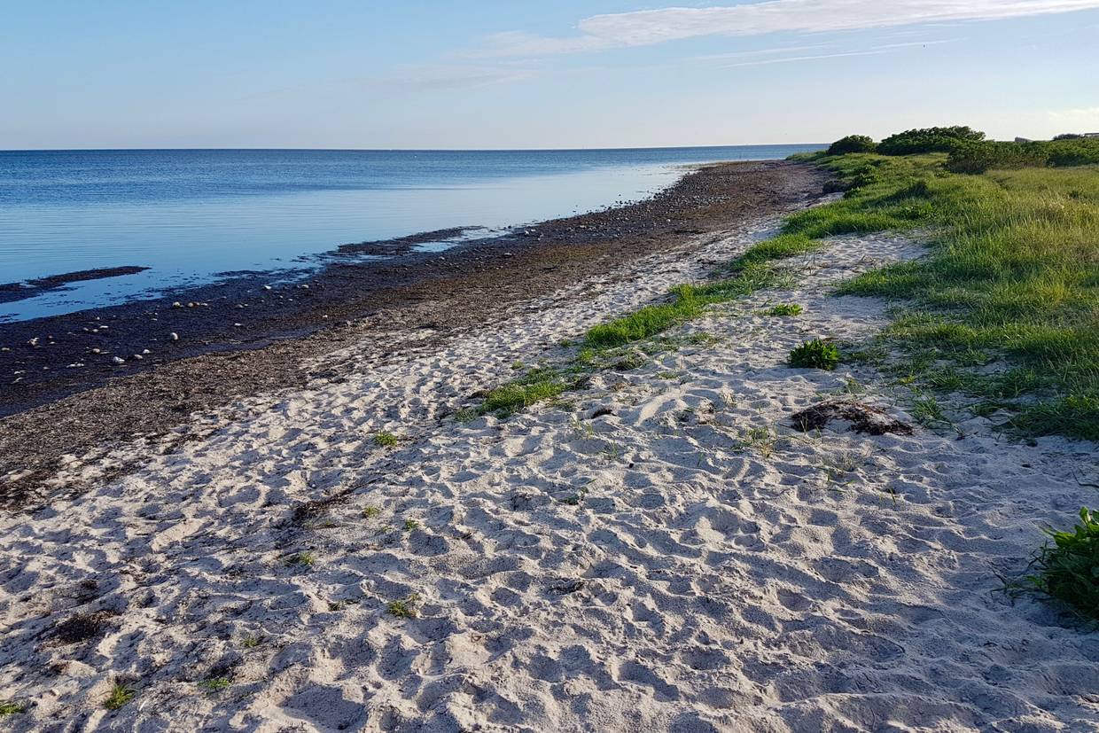 Foto von Bisserup Strand