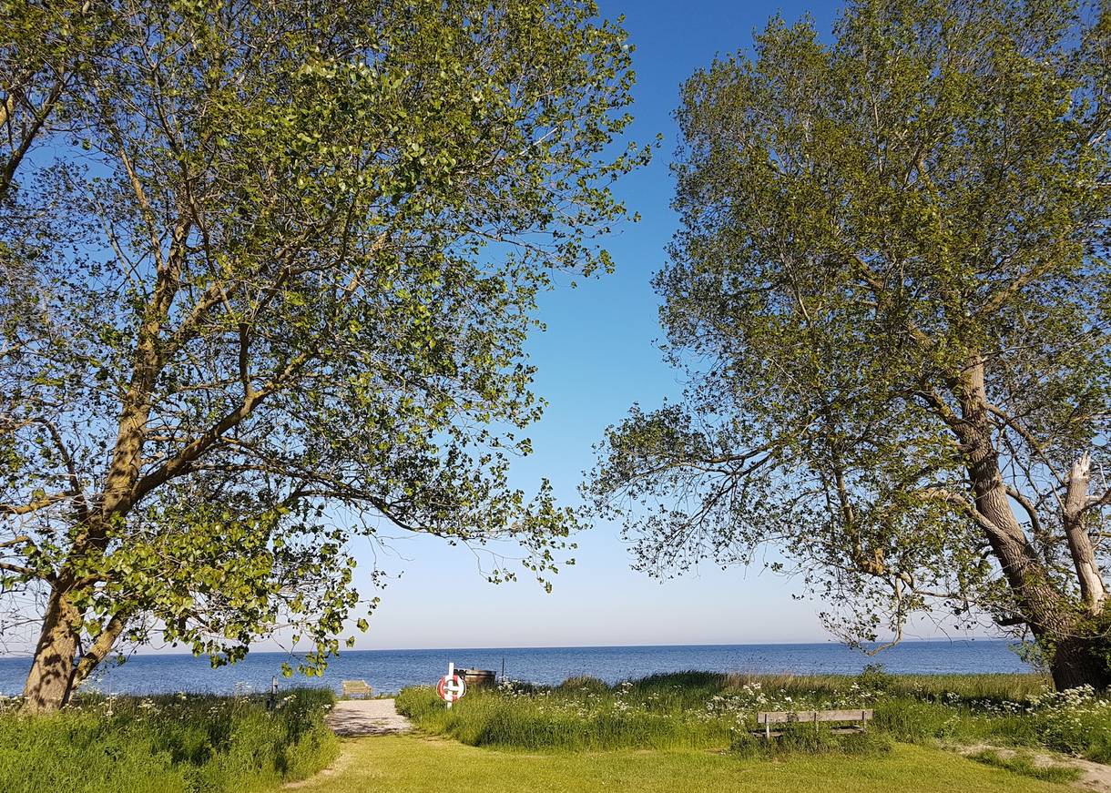 Wiese mit einer Bank und Bäumen am Meer