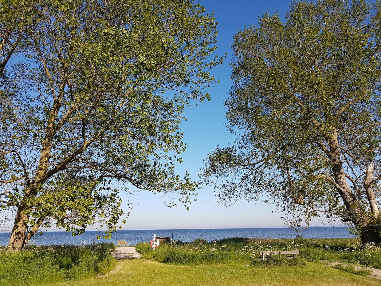 Wiese mit einer Bank und Bäumen am Meer