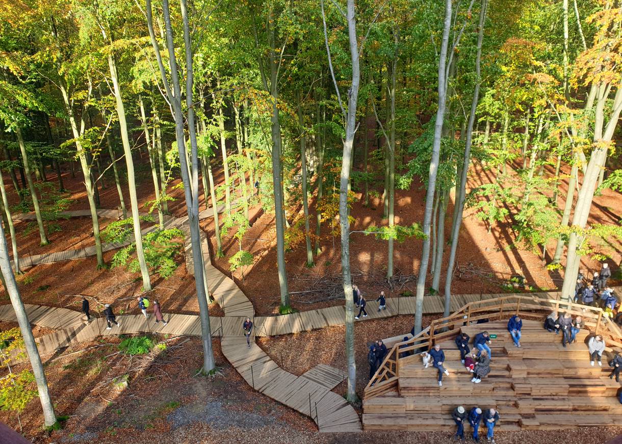 Holzstege im Wald unter dem Aussichtsturm, daneben eine Tribüne