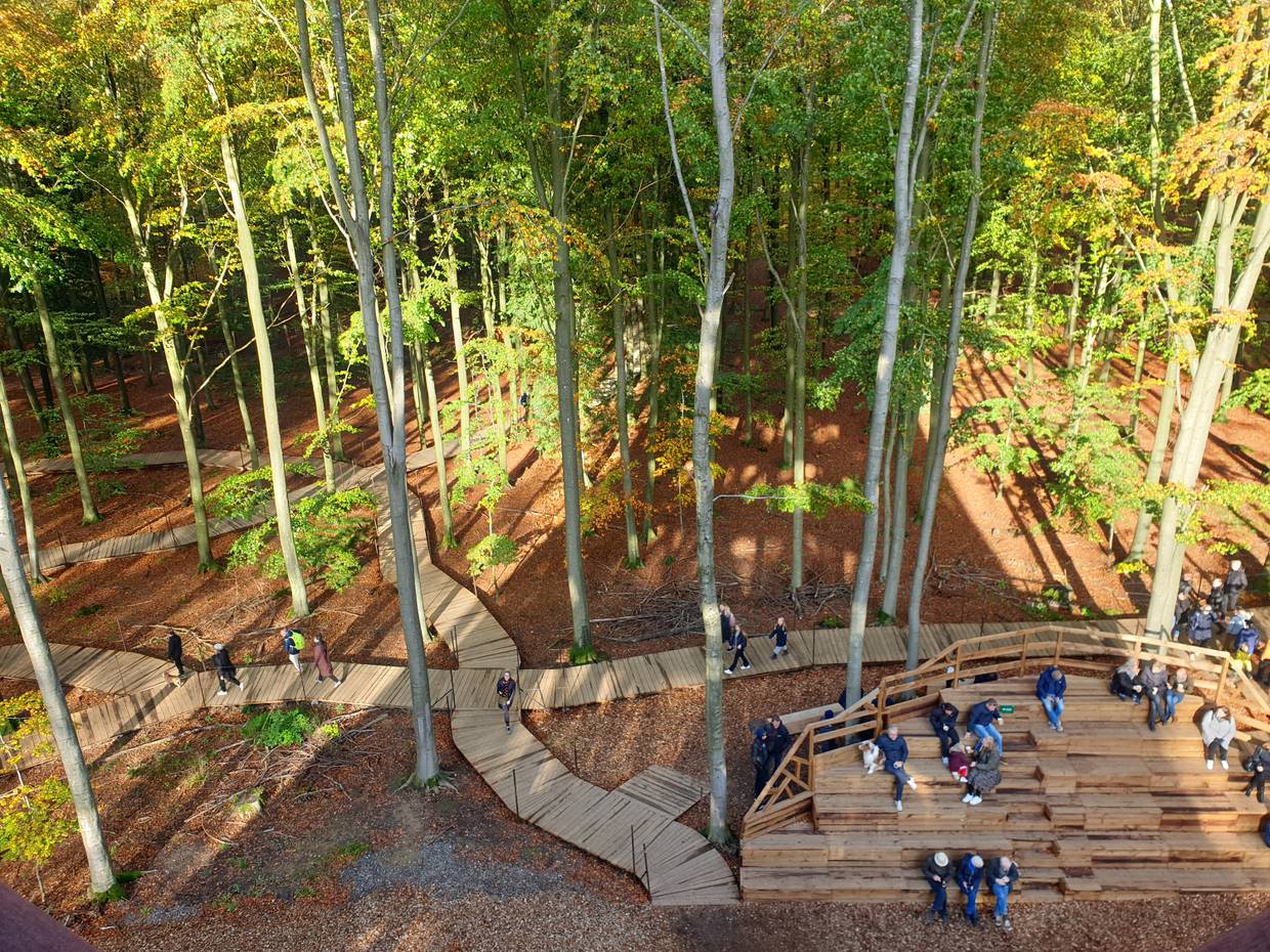 Holzstege im Wald unter dem Aussichtsturm, daneben eine Tribüne