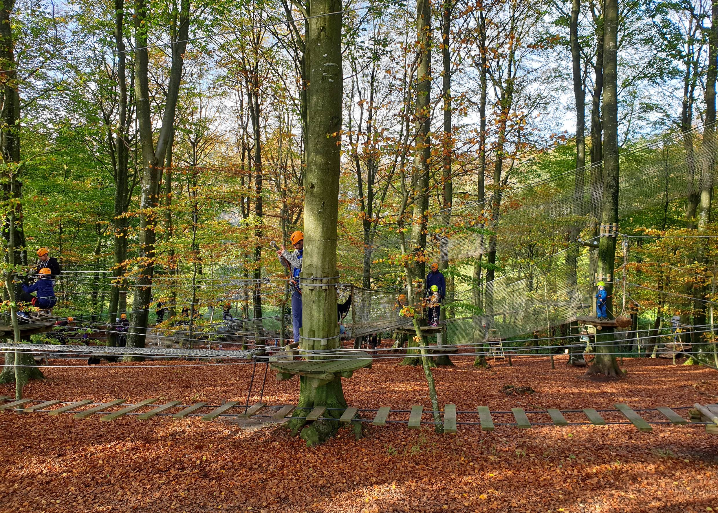 Angeseilte Kletterer im Kletterpark