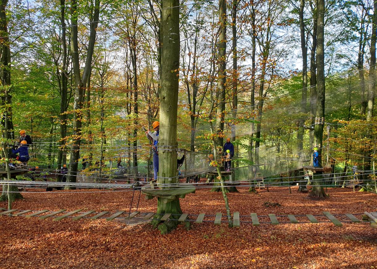 Angeseilte Kletterer im Kletterpark