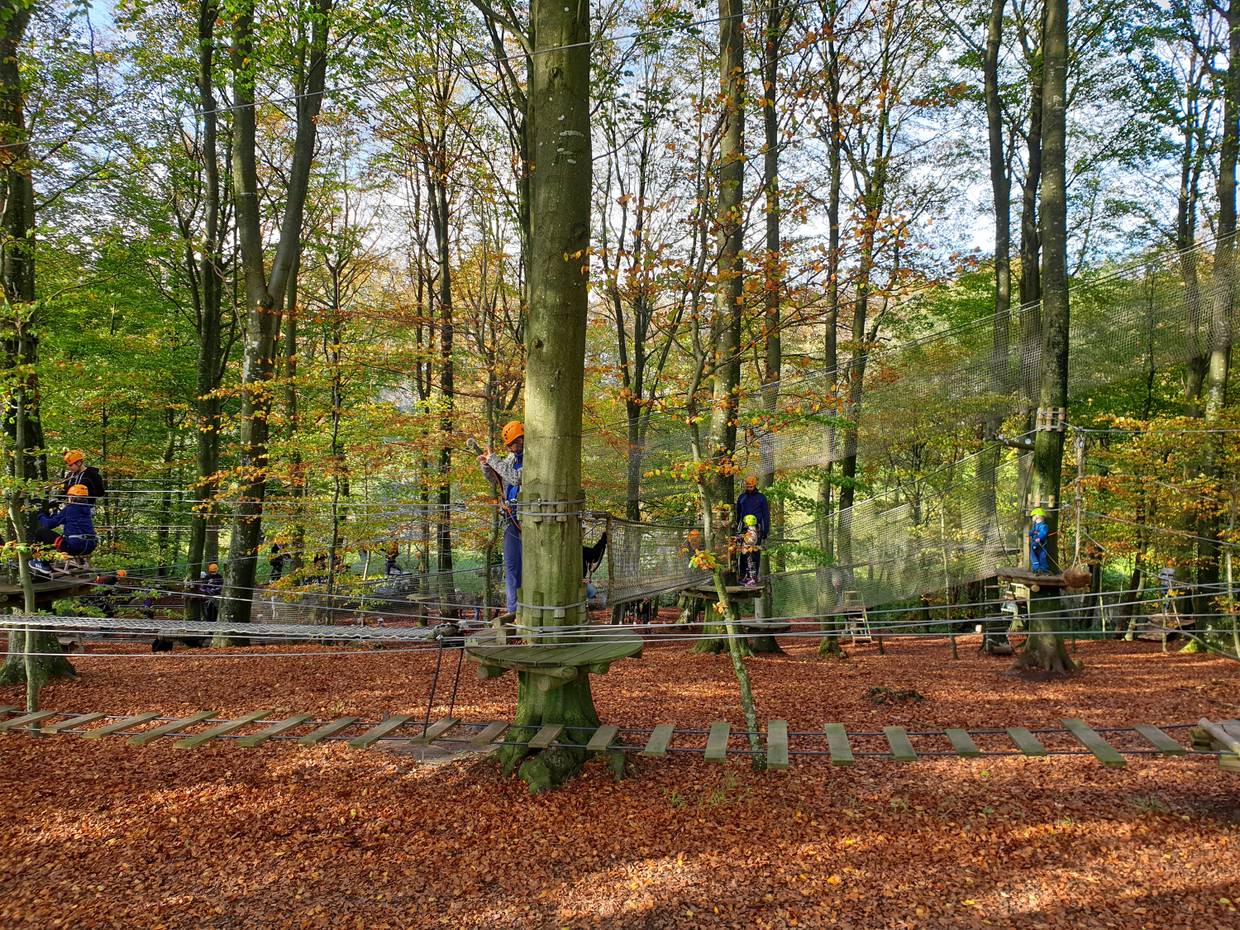 Angeseilte Kletterer im Kletterpark