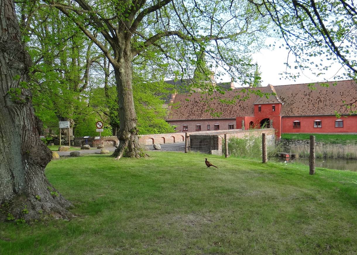 Die Brücke zu einem roten Schloss, von Bäumen und einem Graben umgeben
