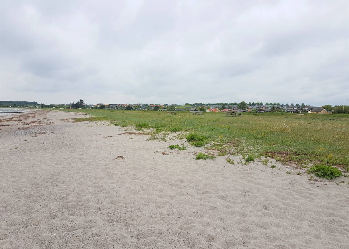 Sandstrand, dahinter Wiese und Ferienhäuser