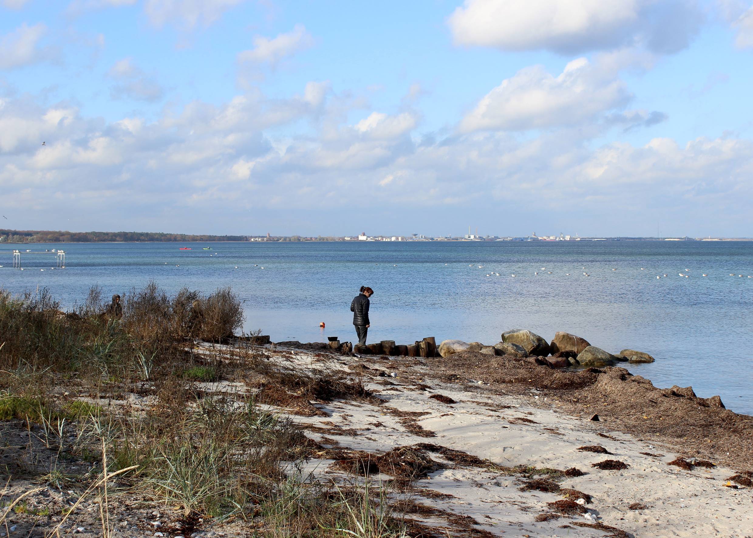 Steiniger Strand, im Hintergrund die Silouette einer Stadt