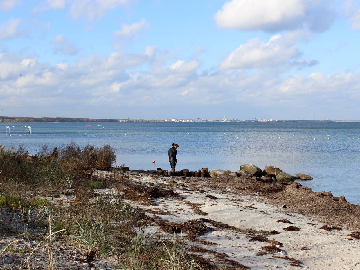 Steiniger Strand, im Hintergrund die Silouette einer Stadt