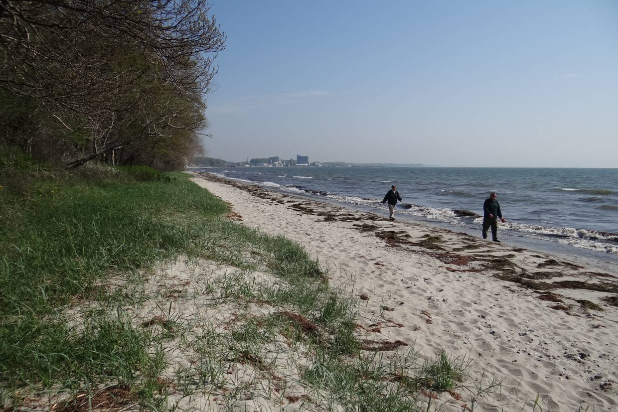 Foto von Faxe Naturstrand