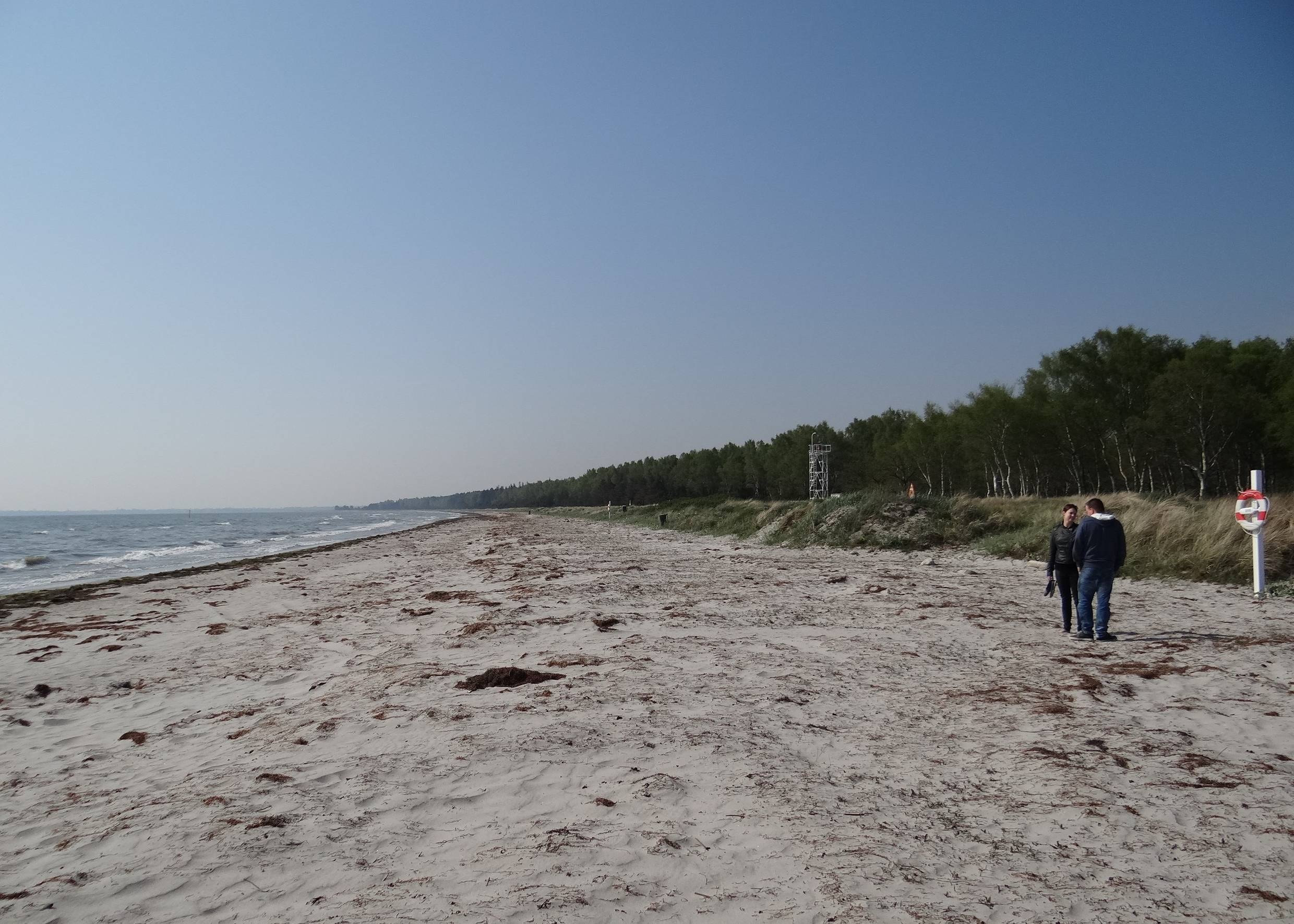 Recht breiter Strand vor einem Wald mit zwei Spaziergängern