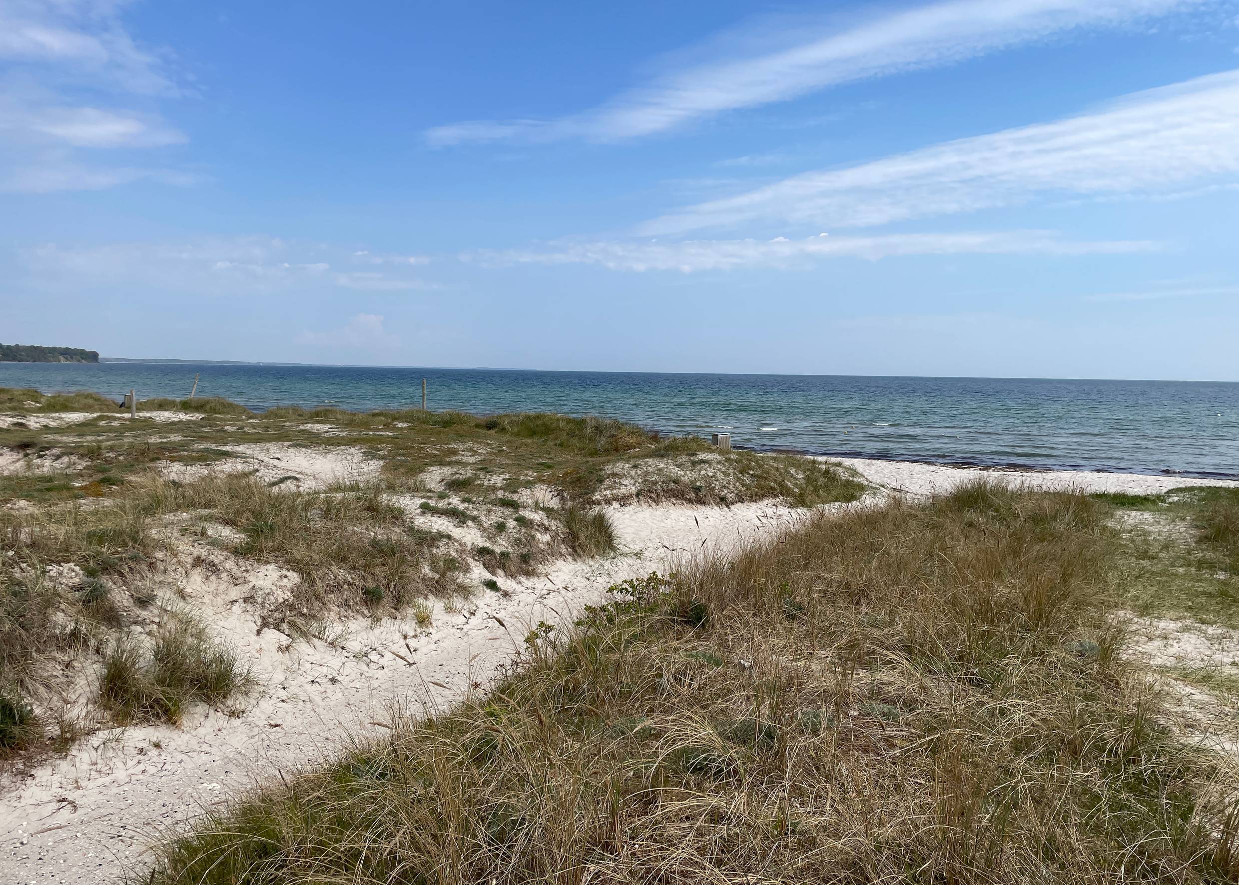 Blick auf einen Strandzugang, weißer Sand mit Strandhafer, dahinter die flache Ostsee