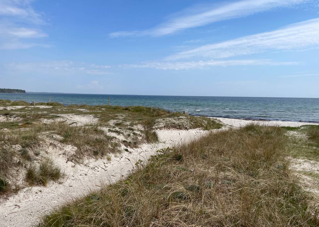 Blick auf einen Strandzugang, weißer Sand mit Strandhafer, dahinter die flache Ostsee