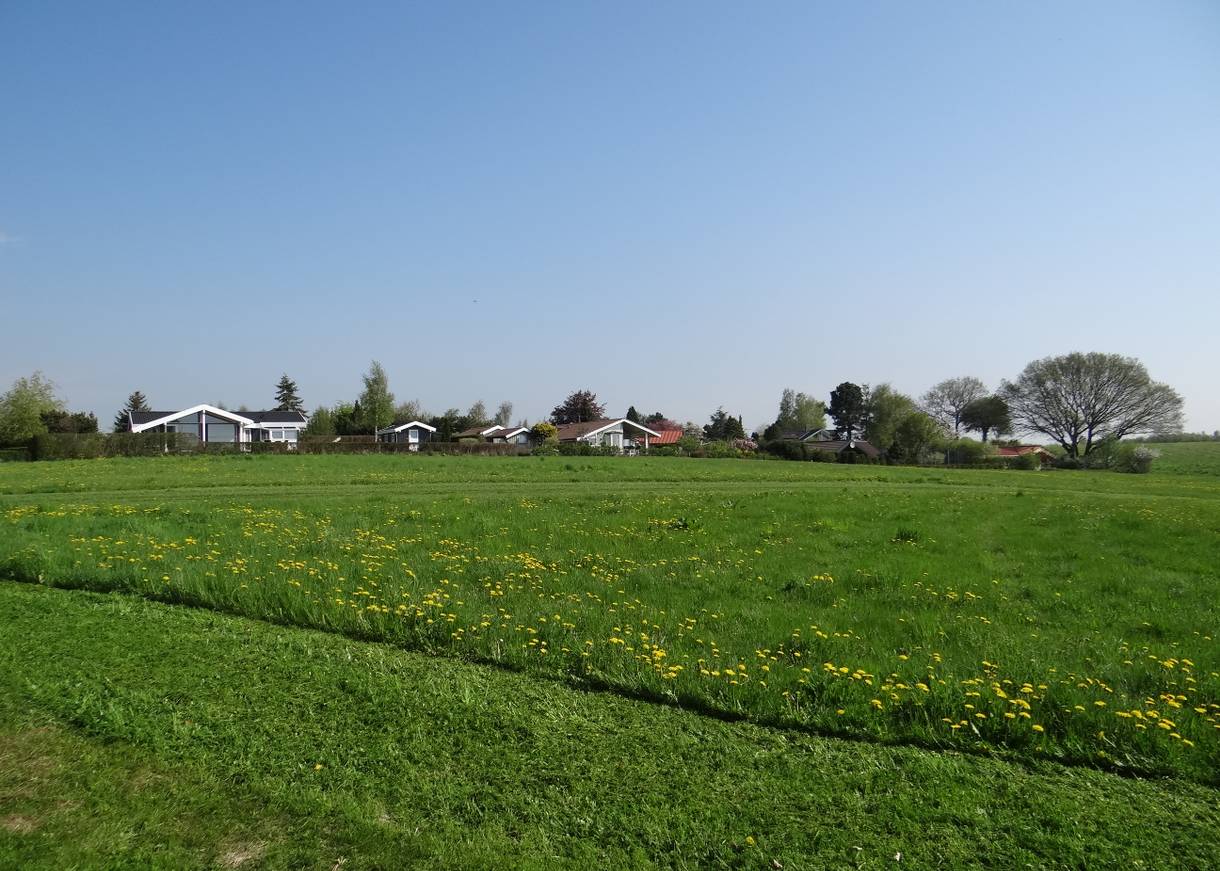 Ferienhäuser hiner eine grünen Wiese mit blühendem Löwenzahn