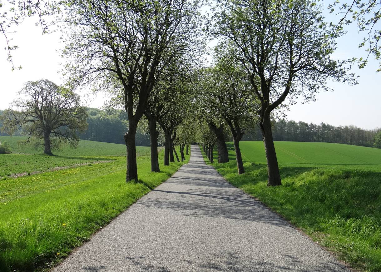 Nebenstraße in Seeland