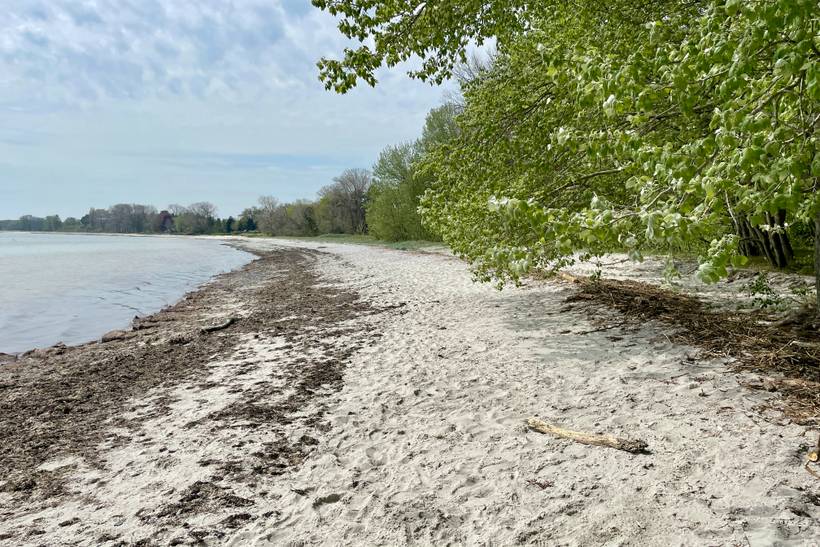 Foto von Sibirien Strand