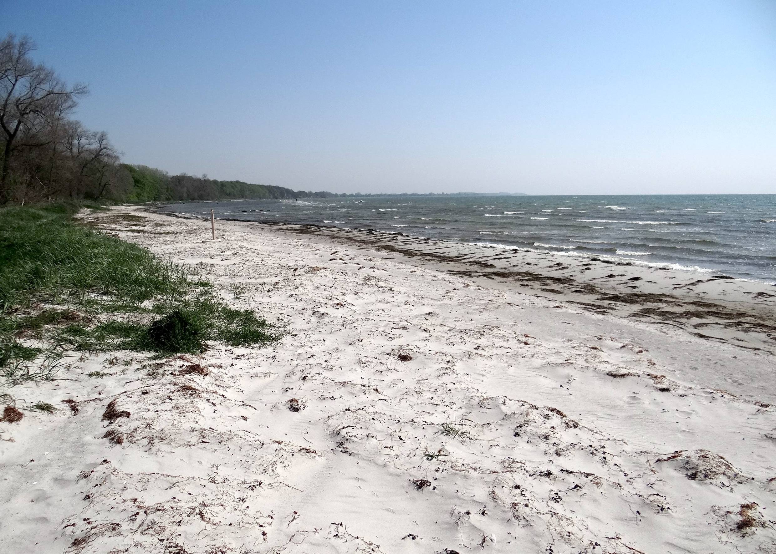 Schmaler Sandstrand vor einem Wald