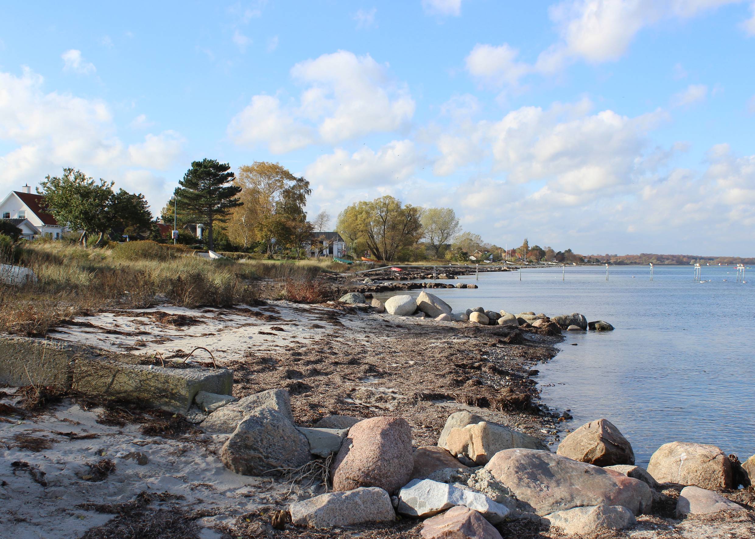 Schmaler, eher steinigen Strand, im Hintergrund Ferienhäuser in Stevns
