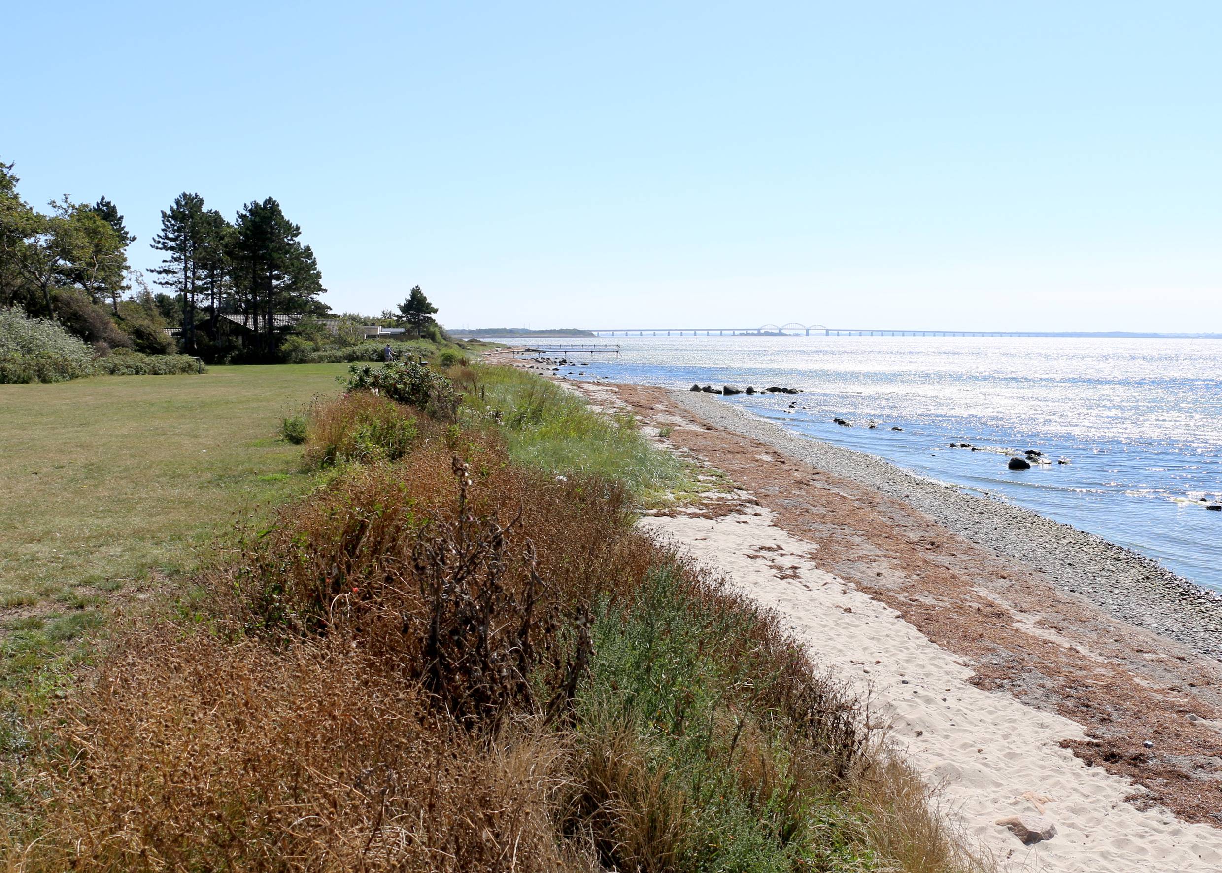 Wiese mit schmalem Sandstrand, in der Ferne eine lange Brücke