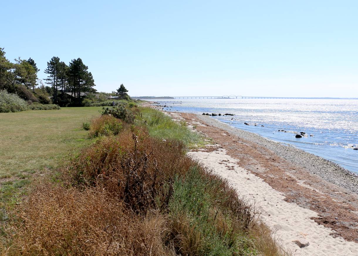 Wiese mit schmalem Sandstrand, in der Ferne eine lange Brücke