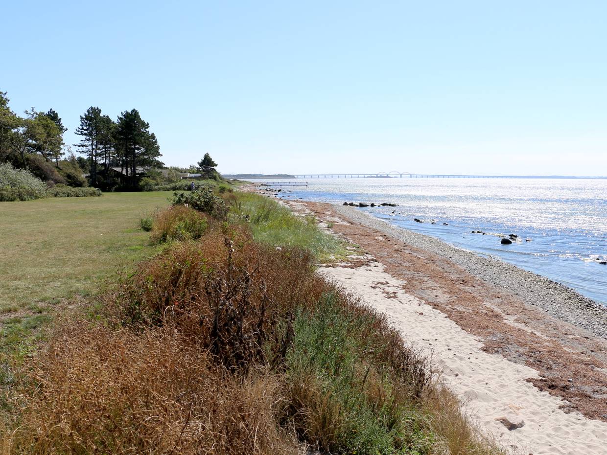 Wiese mit schmalem Sandstrand, in der Ferne eine lange Brücke