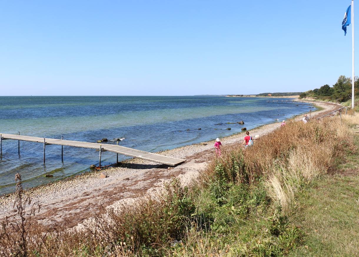 Badesteg an einem Strand mit viel Seegrad