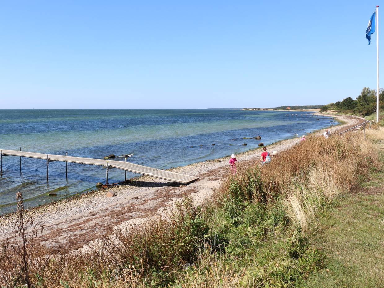 Badesteg an einem Strand mit viel Seegrad