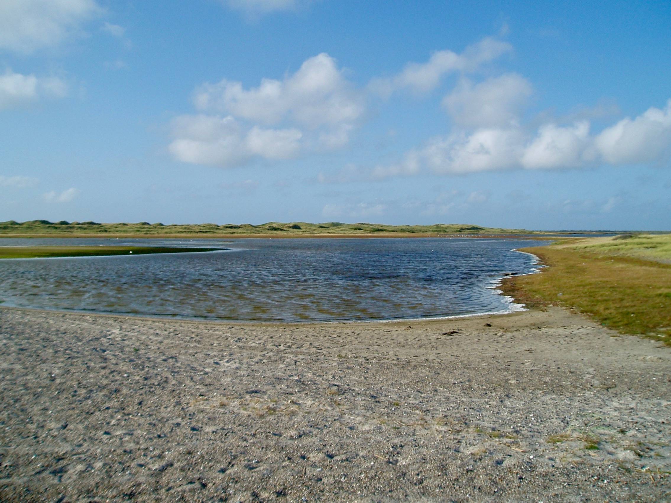 Ein Seitenarm der Nordsee zwischen Sand und Schilf