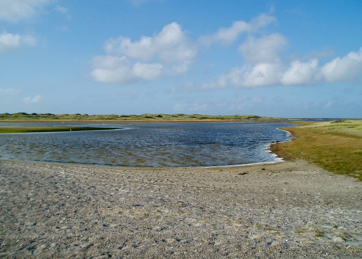 Ein Seitenarm der Nordsee zwischen Sand und Schilf