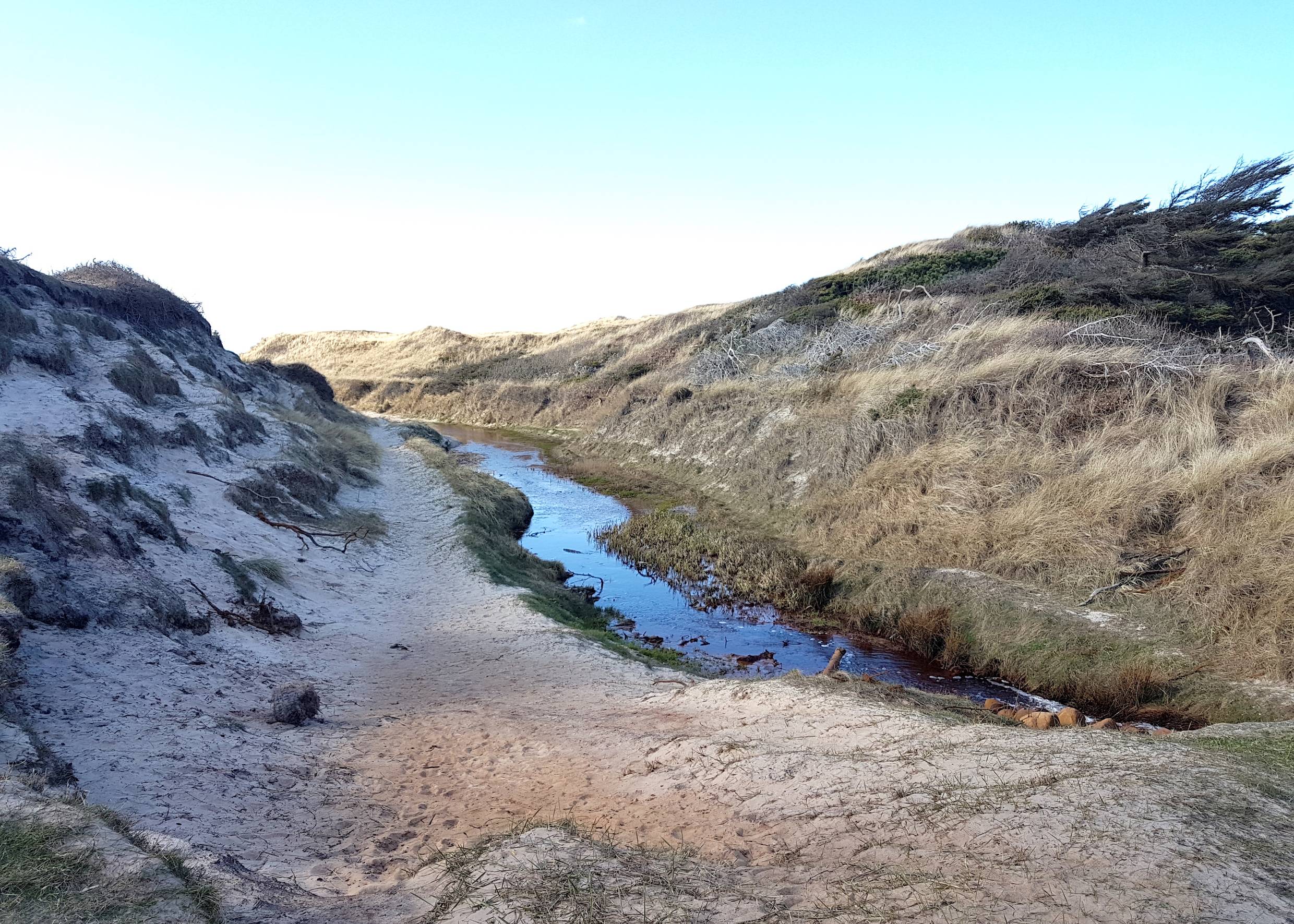 Bachlauf durch die Dünen