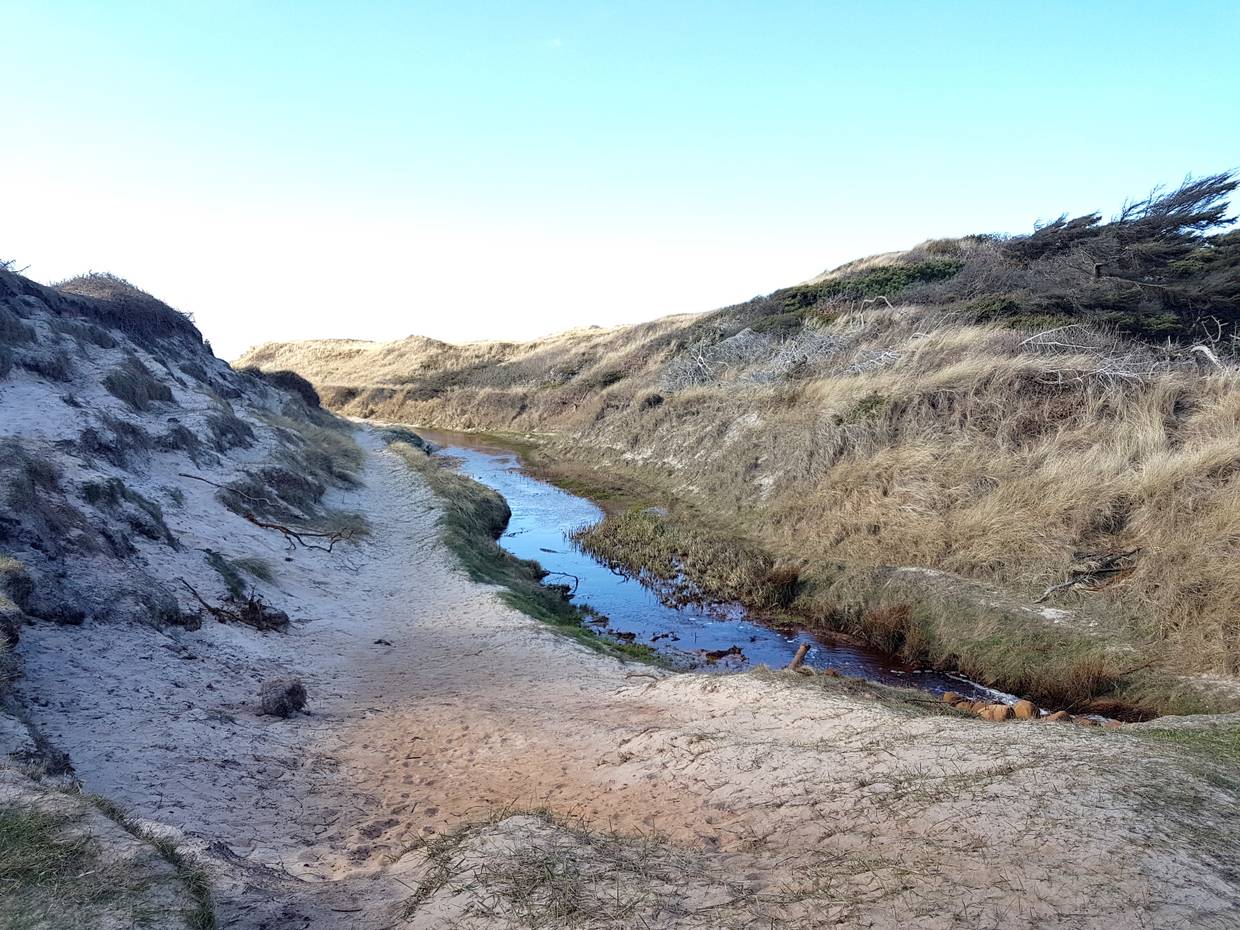 Bachlauf durch die Dünen