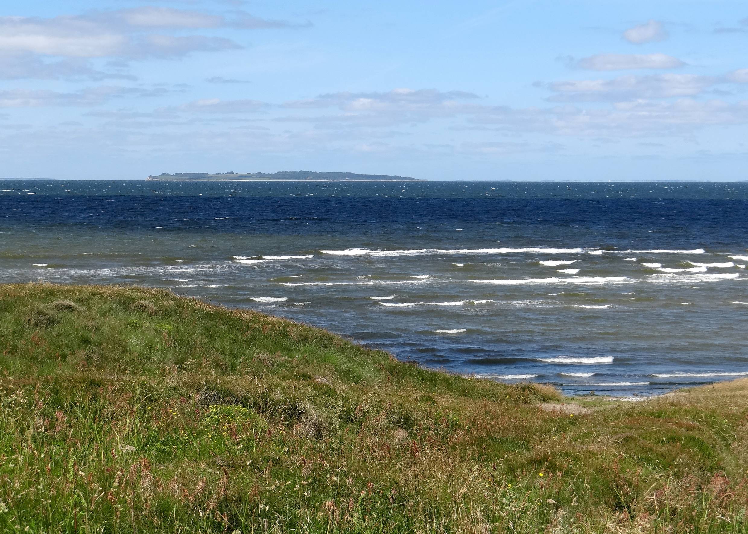 Blick von einer grünen Steilküste auf eine Insel im Limfjord