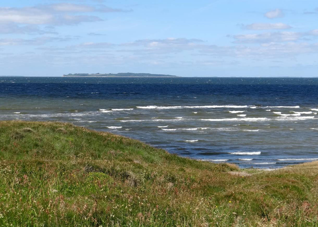 Blick von einer grünen Steilküste auf eine Insel im Limfjord