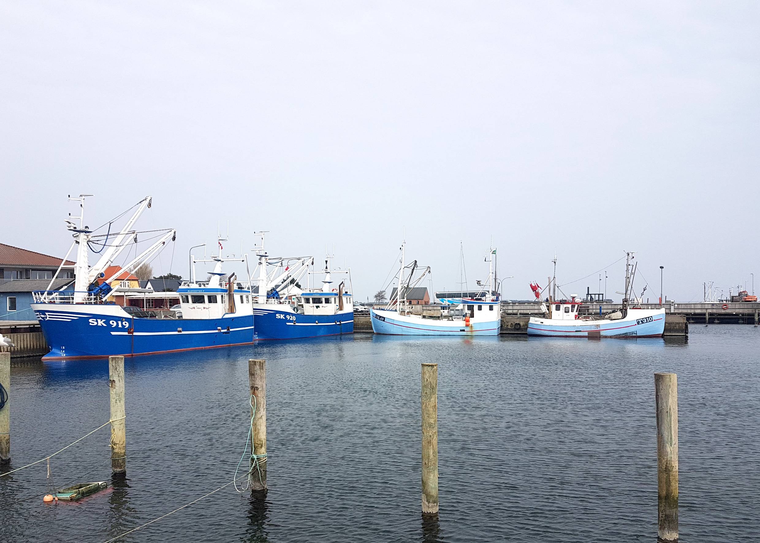 Vier blaue Fischkutter an der Kaimauer im Hafen