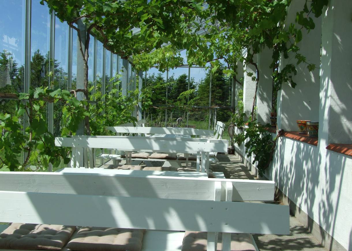 Von Weinreben bewachsener Wintergarten mit weißen Holztischen und Bänken 